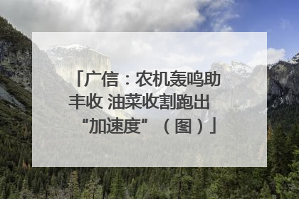 广信：农机轰鸣助丰收 油菜收割跑出“加速度”（图）
