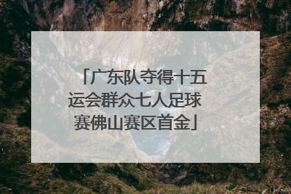 广东队夺得十五运会群众七人足球赛佛山赛区首金