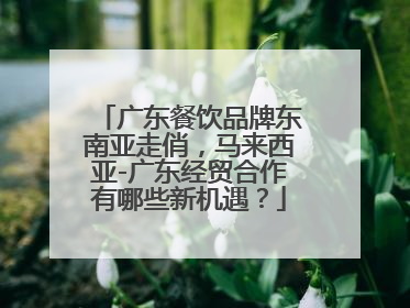 广东餐饮品牌东南亚走俏，马来西亚-广东经贸合作有哪些新机遇？