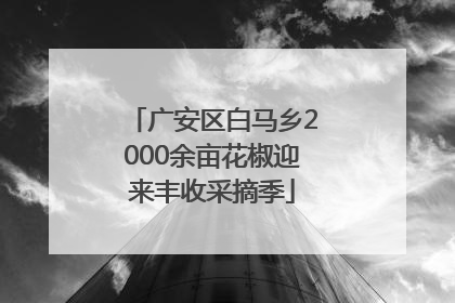 广安区白马乡2000余亩花椒迎来丰收采摘季