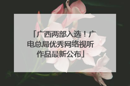 广西两部入选！广电总局优秀网络视听作品最新公布