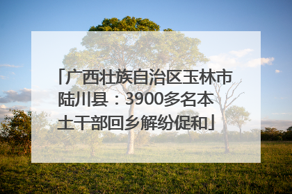广西壮族自治区玉林市陆川县：3900多名本土干部回乡解纷促和