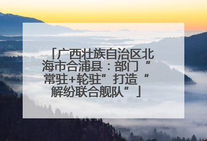 广西壮族自治区北海市合浦县：部门“常驻+轮驻”打造“解纷联合舰队”