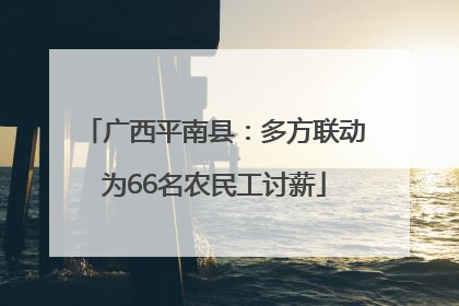 广西平南县：多方联动为66名农民工讨薪