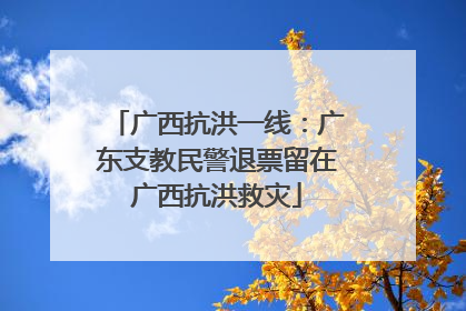 广西抗洪一线：广东支教民警退票留在广西抗洪救灾