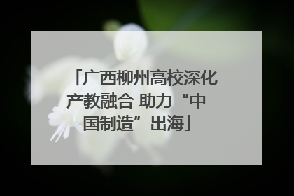 广西柳州高校深化产教融合 助力“中国制造”出海
