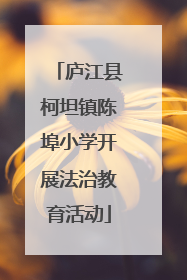 庐江县柯坦镇陈埠小学开展法治教育活动