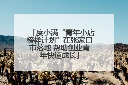 度小满“青年小店榜样计划”在张家口市落地 帮助创业青年快速成长