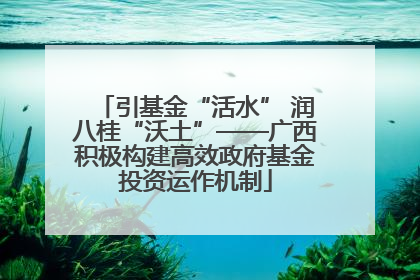 引基金“活水” 润八桂“沃土”——广西积极构建高效政府基金投资运作机制