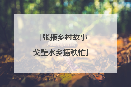 张掖乡村故事｜戈壁水乡插秧忙