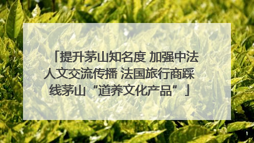 提升茅山知名度 加强中法人文交流传播 法国旅行商踩线茅山“道养文化产品”