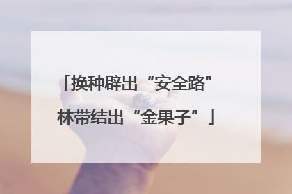 换种辟出“安全路” 林带结出“金果子”
