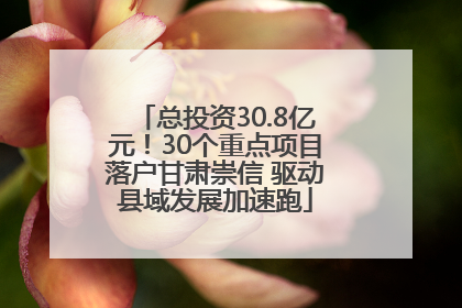总投资30.8亿元！30个重点项目落户甘肃崇信 驱动县域发展加速跑