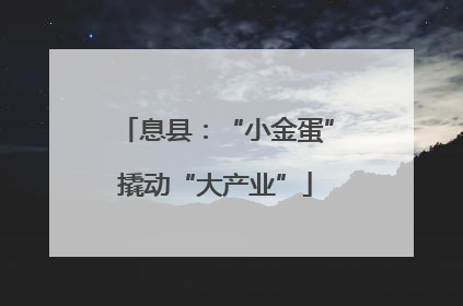 息县：“小金蛋”撬动“大产业”