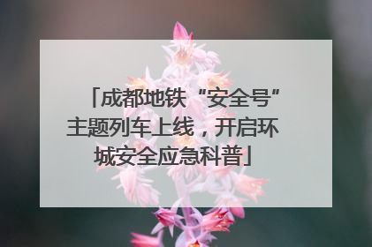 成都地铁“安全号”主题列车上线，开启环城安全应急科普