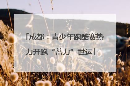成都：青少年跑酷赛热力开跑“蓄力”世运