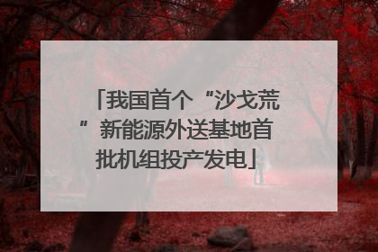我国首个“沙戈荒”新能源外送基地首批机组投产发电
