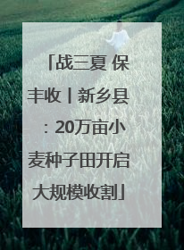 战三夏 保丰收丨新乡县：20万亩小麦种子田开启大规模收割