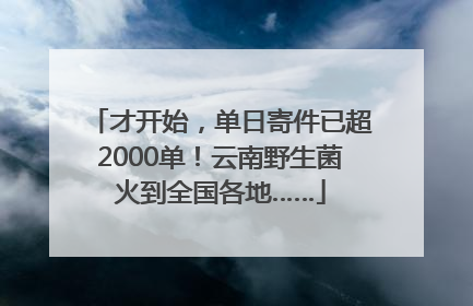 才开始，单日寄件已超2000单！云南野生菌火到全国各地……