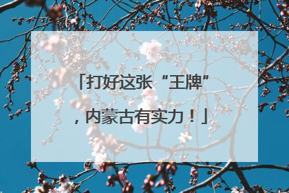 打好这张“王牌”，内蒙古有实力！