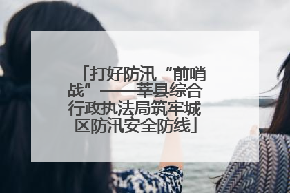 打好防汛“前哨战”——莘县综合行政执法局筑牢城区防汛安全防线