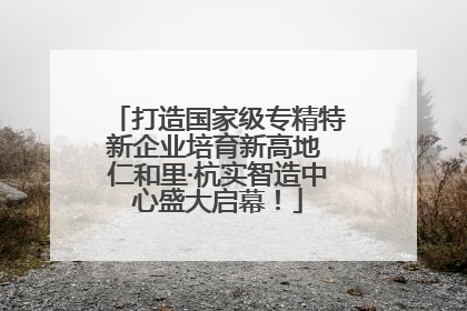 打造国家级专精特新企业培育新高地 仁和里·杭实智造中心盛大启幕！