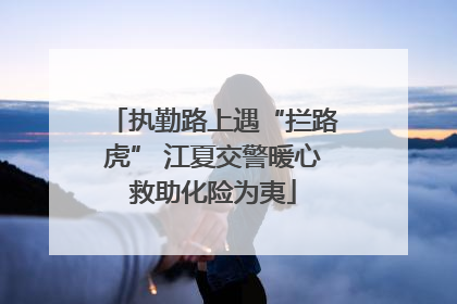 执勤路上遇“拦路虎” 江夏交警暖心救助化险为夷