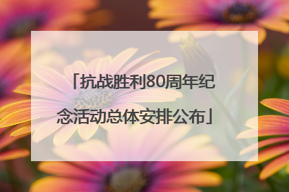 抗战胜利80周年纪念活动总体安排公布