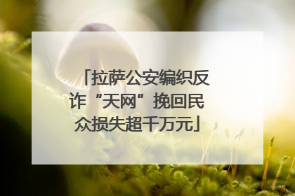 拉萨公安编织反诈“天网”挽回民众损失超千万元