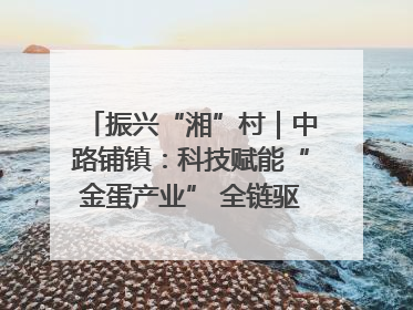 振兴“湘”村｜中路铺镇：科技赋能“金蛋产业” 全链驱动乡村振兴