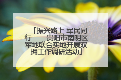 振兴路上 军民同行——贵阳市南明区军地联合实地开展双拥工作调研活动