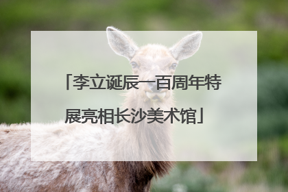 李立诞辰一百周年特展亮相长沙美术馆