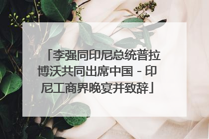 李强同印尼总统普拉博沃共同出席中国－印尼工商界晚宴并致辞