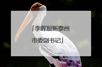 李晖履新泰州市委副书记
