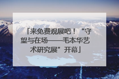 来免费观展吧！“守望与在场——毛本华艺术研究展”开幕