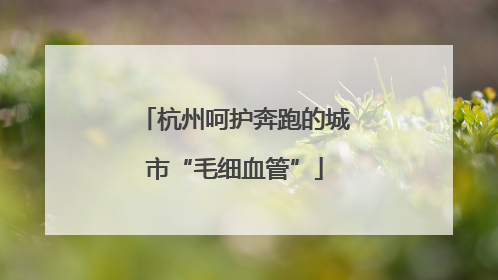 杭州呵护奔跑的城市“毛细血管”