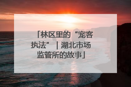 林区里的“宠客执法”｜湖北市场监管所的故事