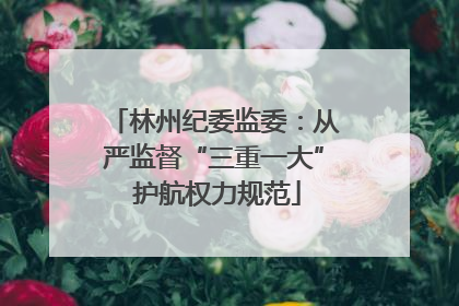 林州纪委监委：从严监督“三重一大” 护航权力规范
