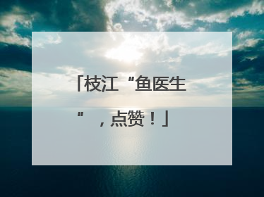 枝江“鱼医生”，点赞！