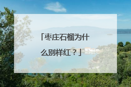 枣庄石榴为什么别样红？