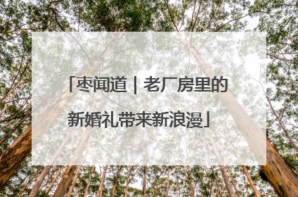 枣闻道｜老厂房里的新婚礼带来新浪漫