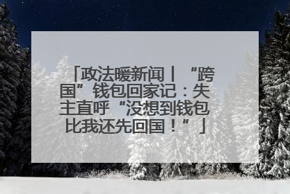 政法暖新闻丨“跨国”钱包回家记：失主直呼“没想到钱包比我还先回国！”