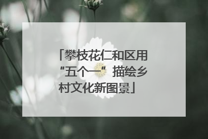 攀枝花仁和区用“五个一”描绘乡村文化新图景