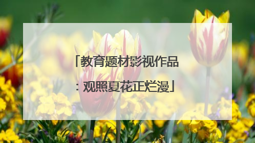教育题材影视作品：观照夏花正烂漫