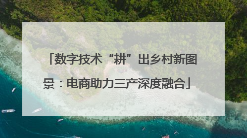 数字技术“耕”出乡村新图景：电商助力三产深度融合