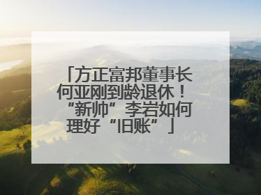 方正富邦董事长何亚刚到龄退休！“新帅”李岩如何理好“旧账”