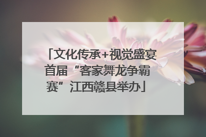 文化传承+视觉盛宴 首届“客家舞龙争霸赛”江西赣县举办