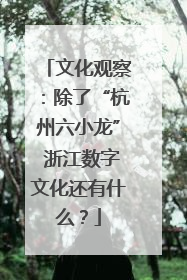 文化观察：除了“杭州六小龙” 浙江数字文化还有什么？
