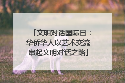 文明对话国际日：华侨华人以艺术交流串起文明对话之路