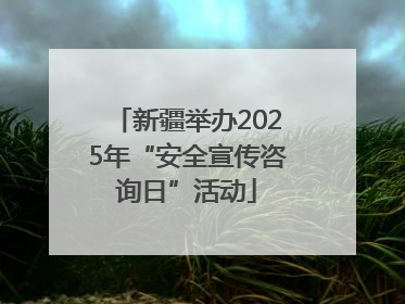 新疆举办2025年“安全宣传咨询日”活动
